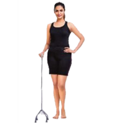 Walking Stick Single